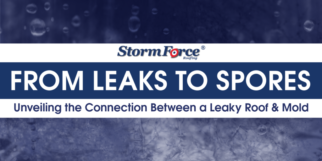 From Leaks to Spores: Unveiling the Connection Between a Leaky Roof & Mold