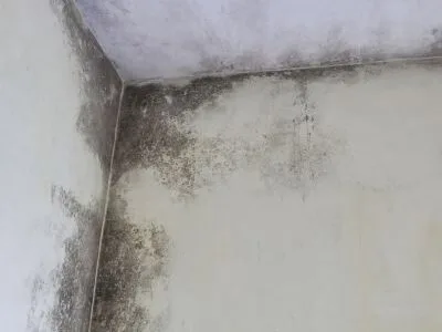 mold on ceiling of a room caused by a leaky roof